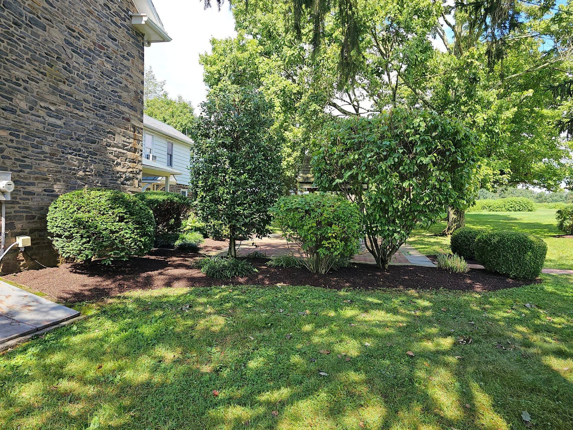 Backyard — Trenton, NJ — Green Garden Thumb LLC