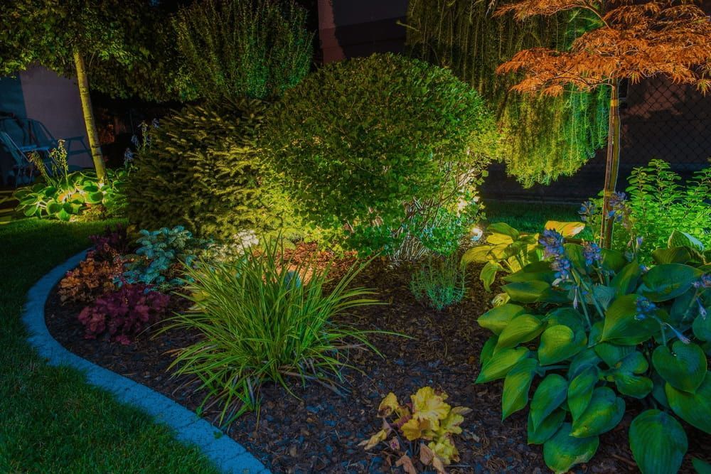 A Lush Garden at Night, Illuminated With Spotlights — Ryphen Electrical in Highton, VIC