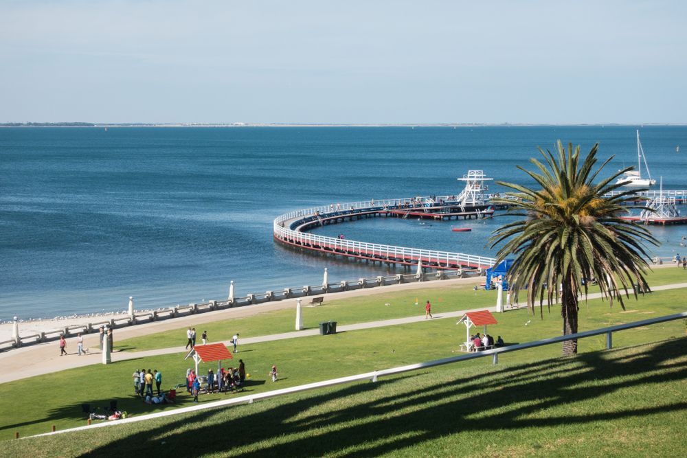 Scenic view of a pier extending into blue water, with a palm tree, grassy area, and people — Ryphen Electrical in Torquay, VIC