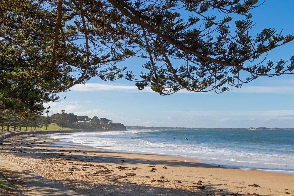 Beach Scene with Ocean, Sand, and Coastal Vegetation — Ryphen Electrical in Torquay, VIC