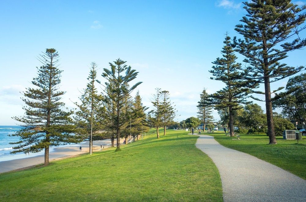 Grassy Park Next to The Ocean with A Paved Path. Tall Trees and Blue Sky — Ryphen Electrical in Torquay, VIC