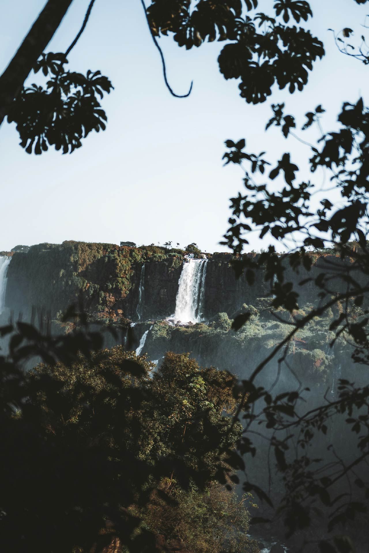 Una cascada en medio de un bosque con árboles en primer plano.
