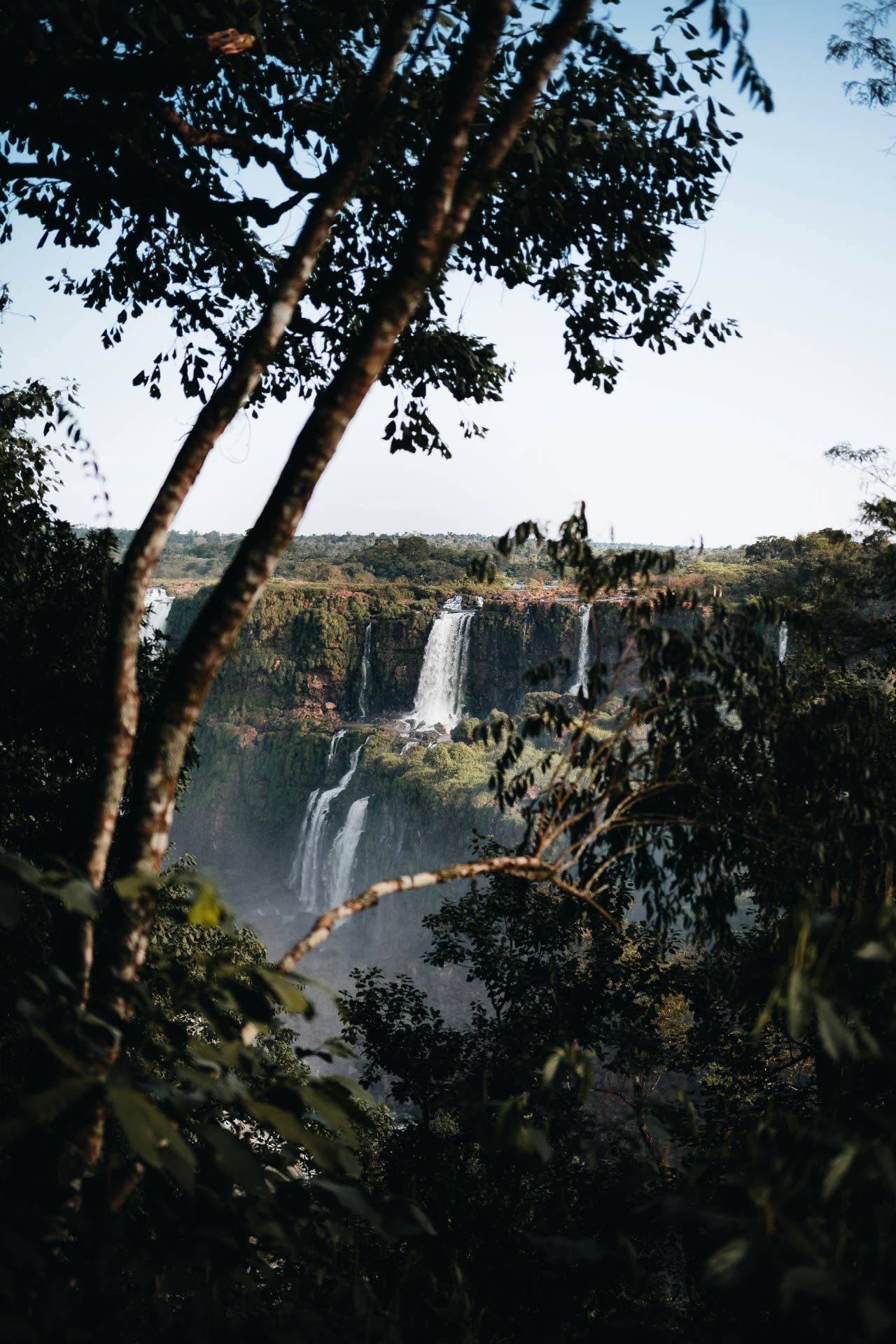 Una cascada está rodeada de árboles en medio de un bosque.