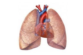 cardio pneumologia sportiva