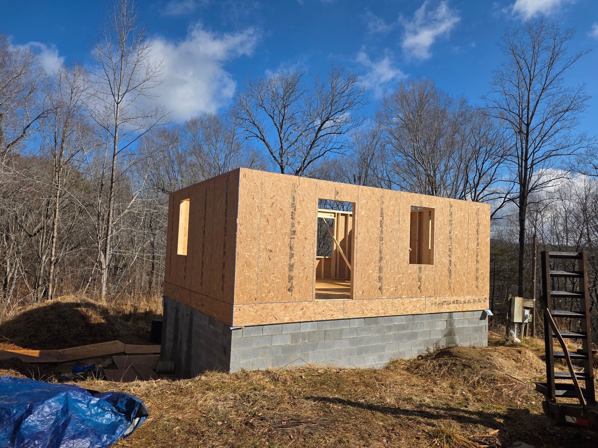 A wooden building frame with plywood walls stands on a concrete foundation in a sunny, wooded outdoor setting.