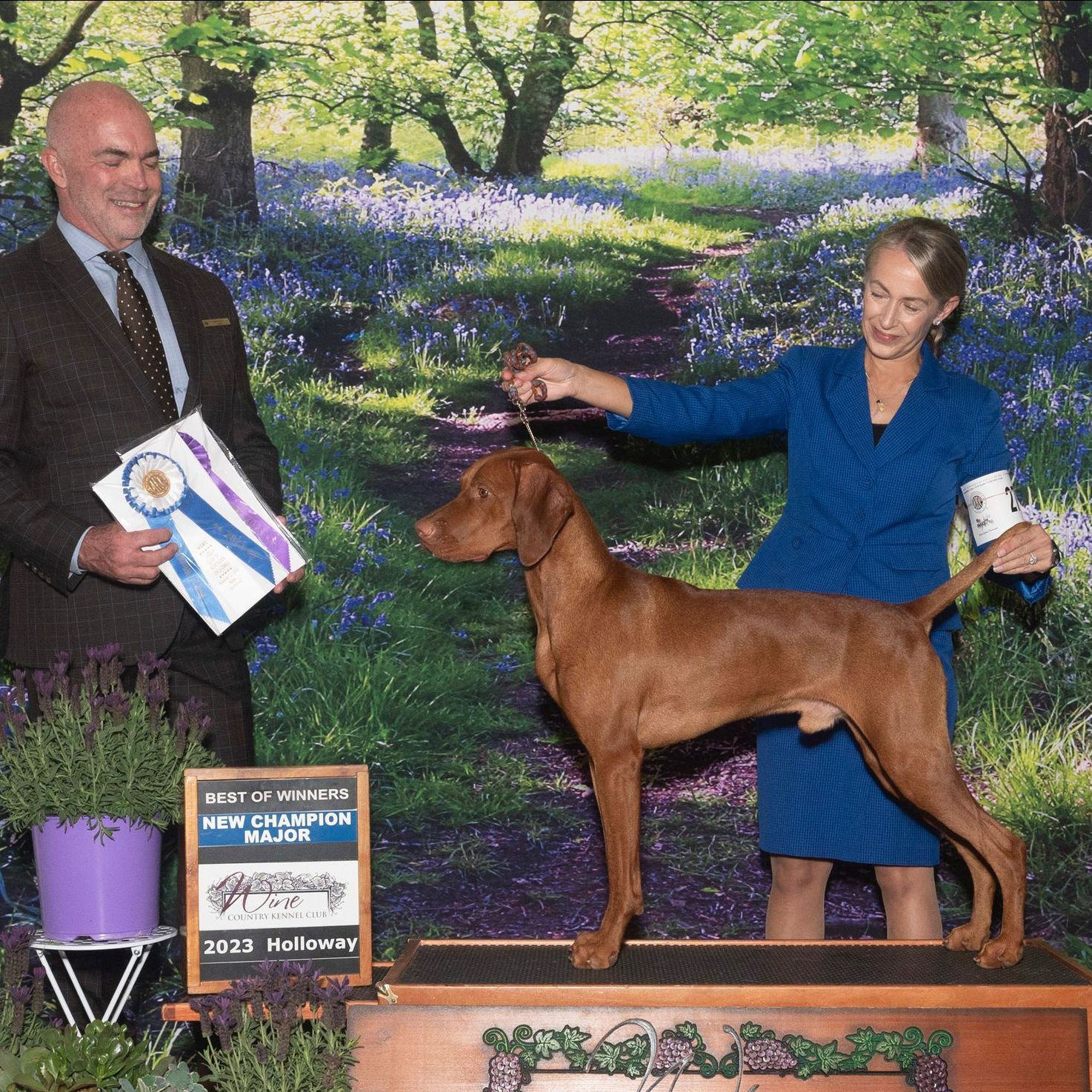 A woman is holding a ribbon next to a brown dog