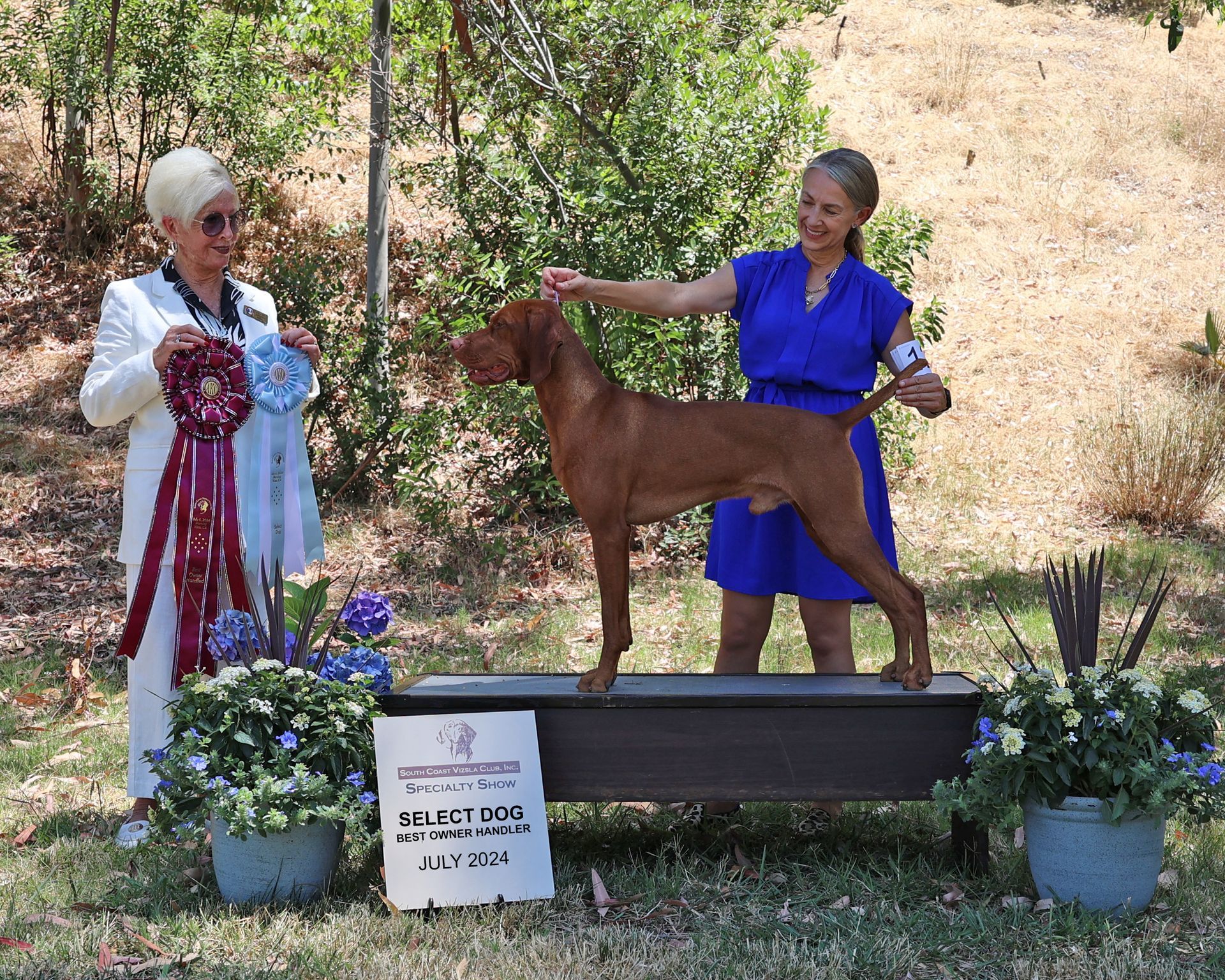 A woman in a blue dress is standing next to a brown dog.