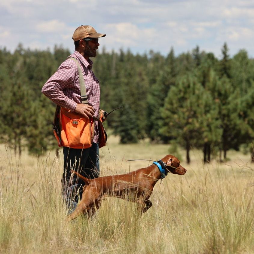 A man and his dog are standing in a field