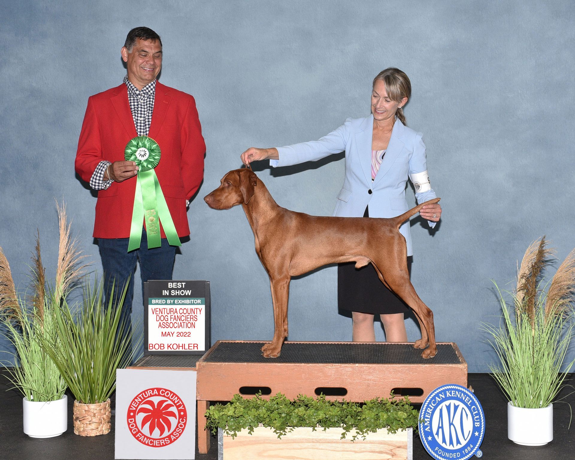 A woman holds a green ribbon over a brown dog