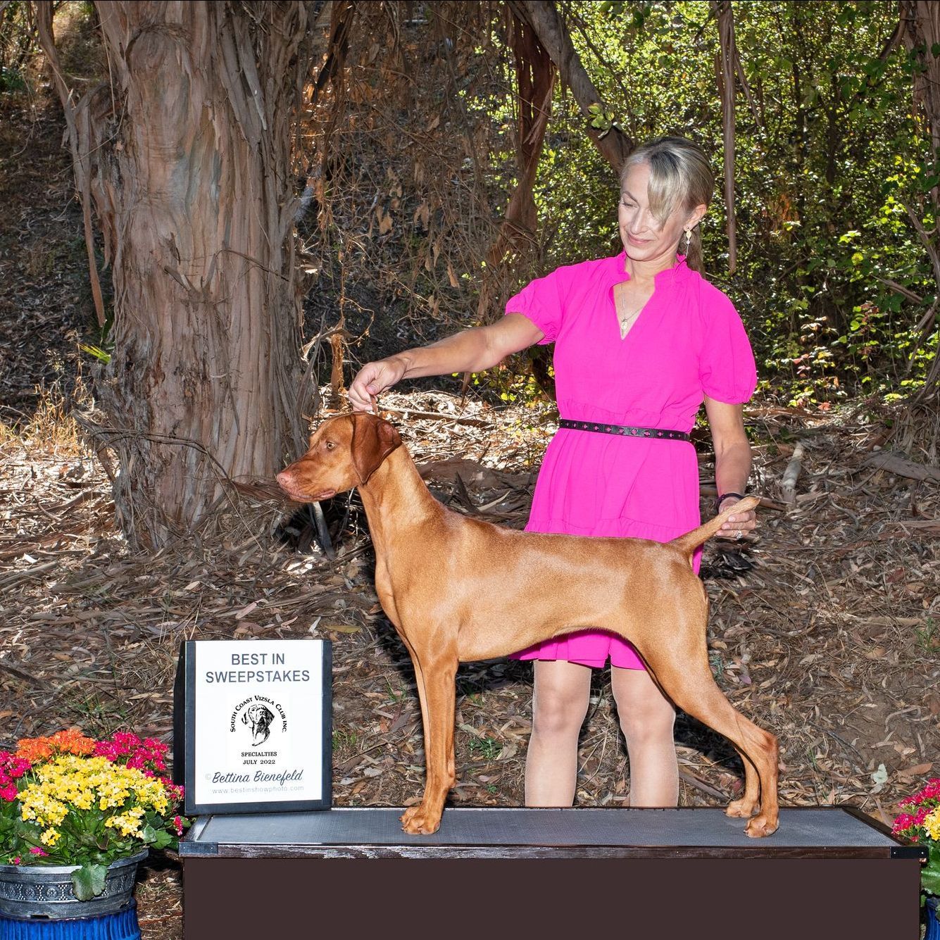 A woman in a pink dress is standing next to a brown dog.