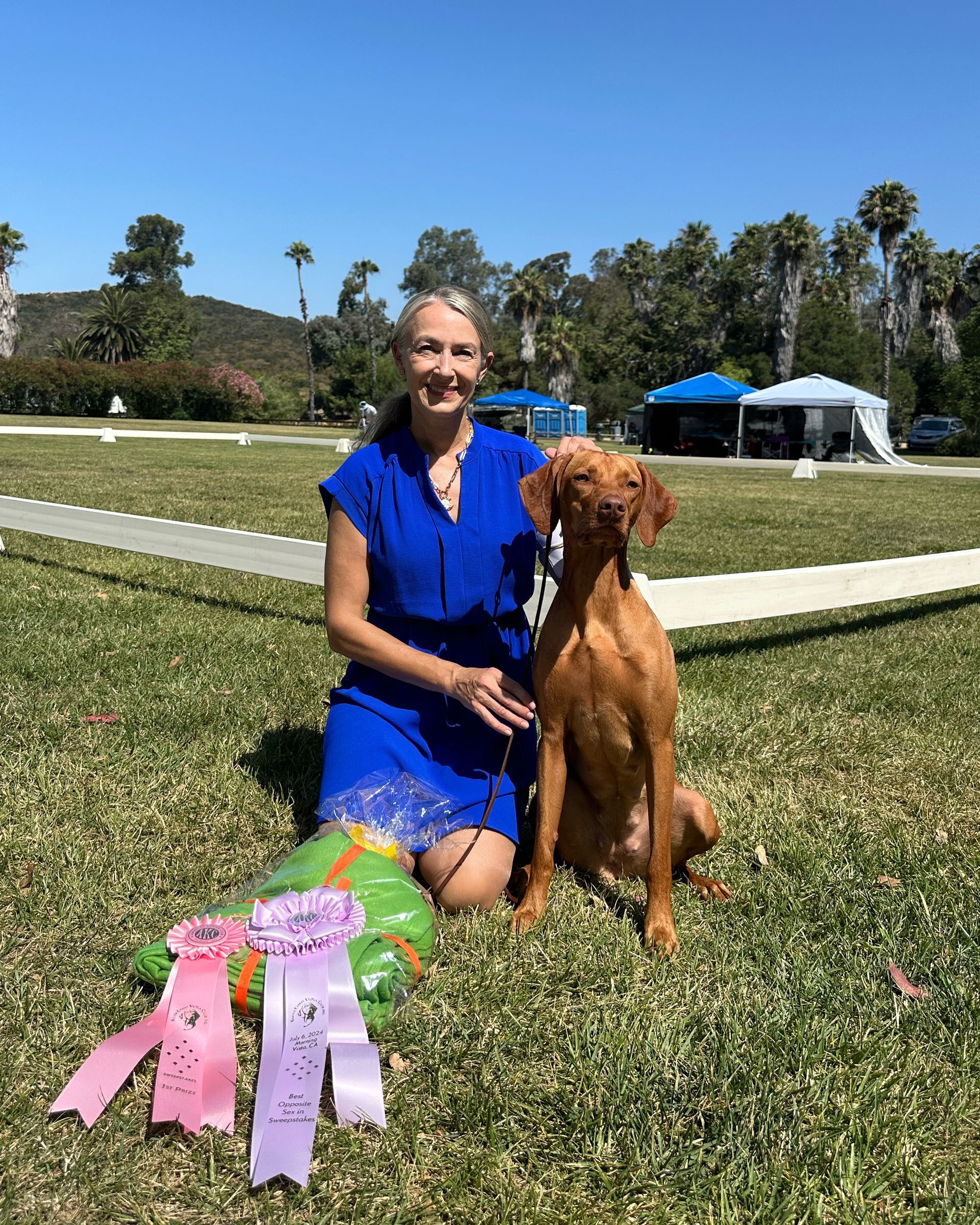 A woman in a blue dress is kneeling down next to a brown dog.
