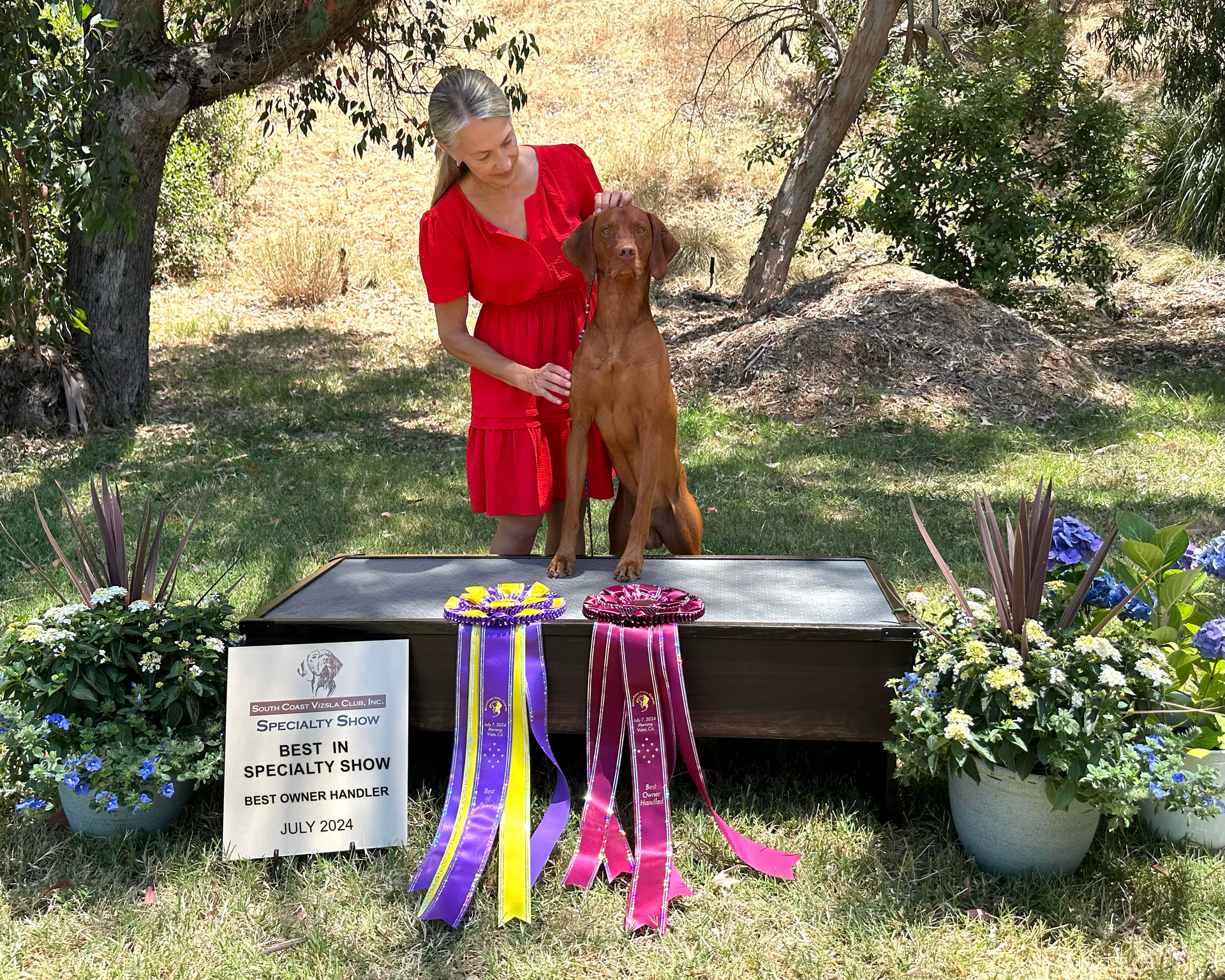 A woman is standing next to a dog on a podium with ribbons.