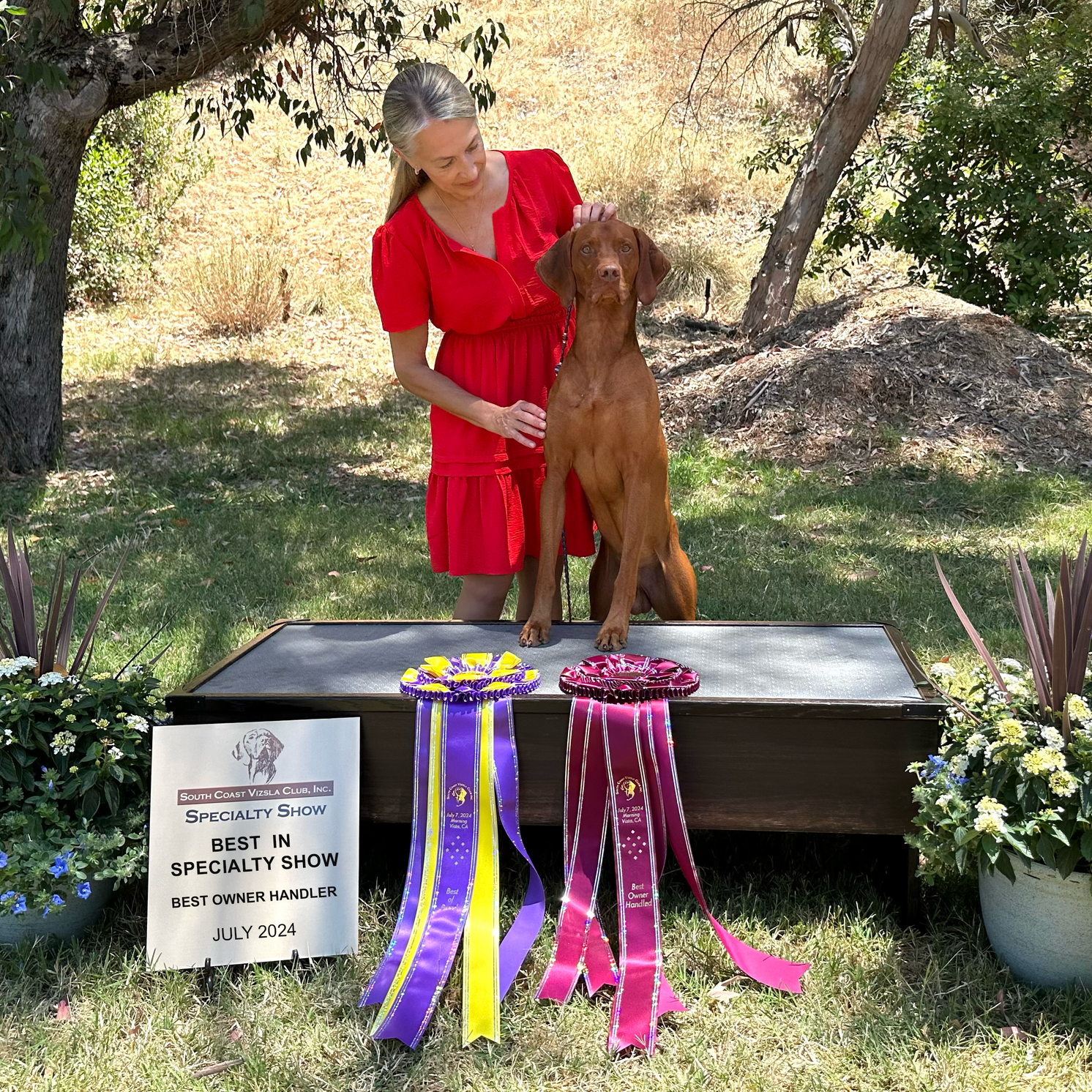 A woman in a red dress is standing next to a dog on a podium with ribbons.