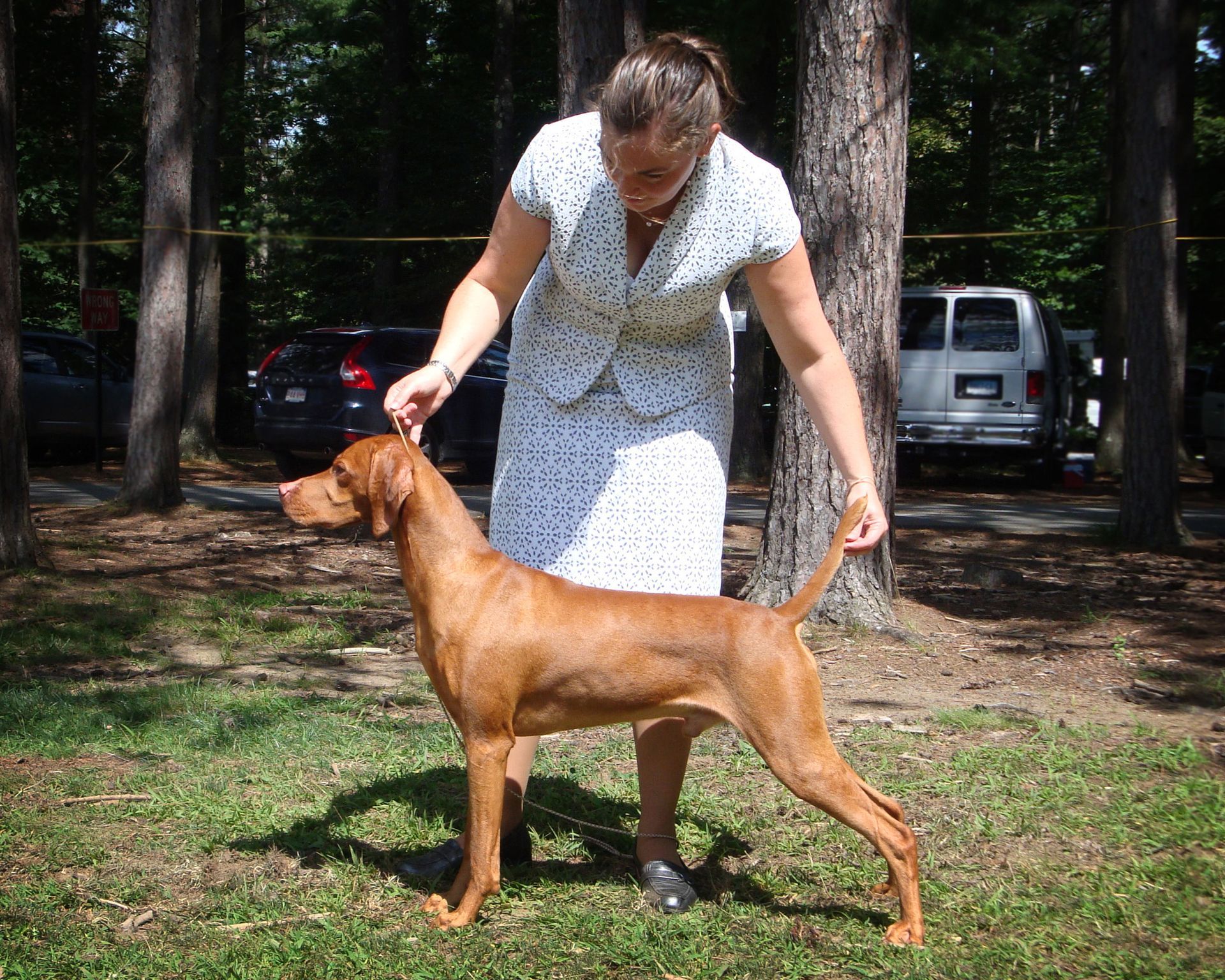 A woman in a white dress stands next to a brown dog