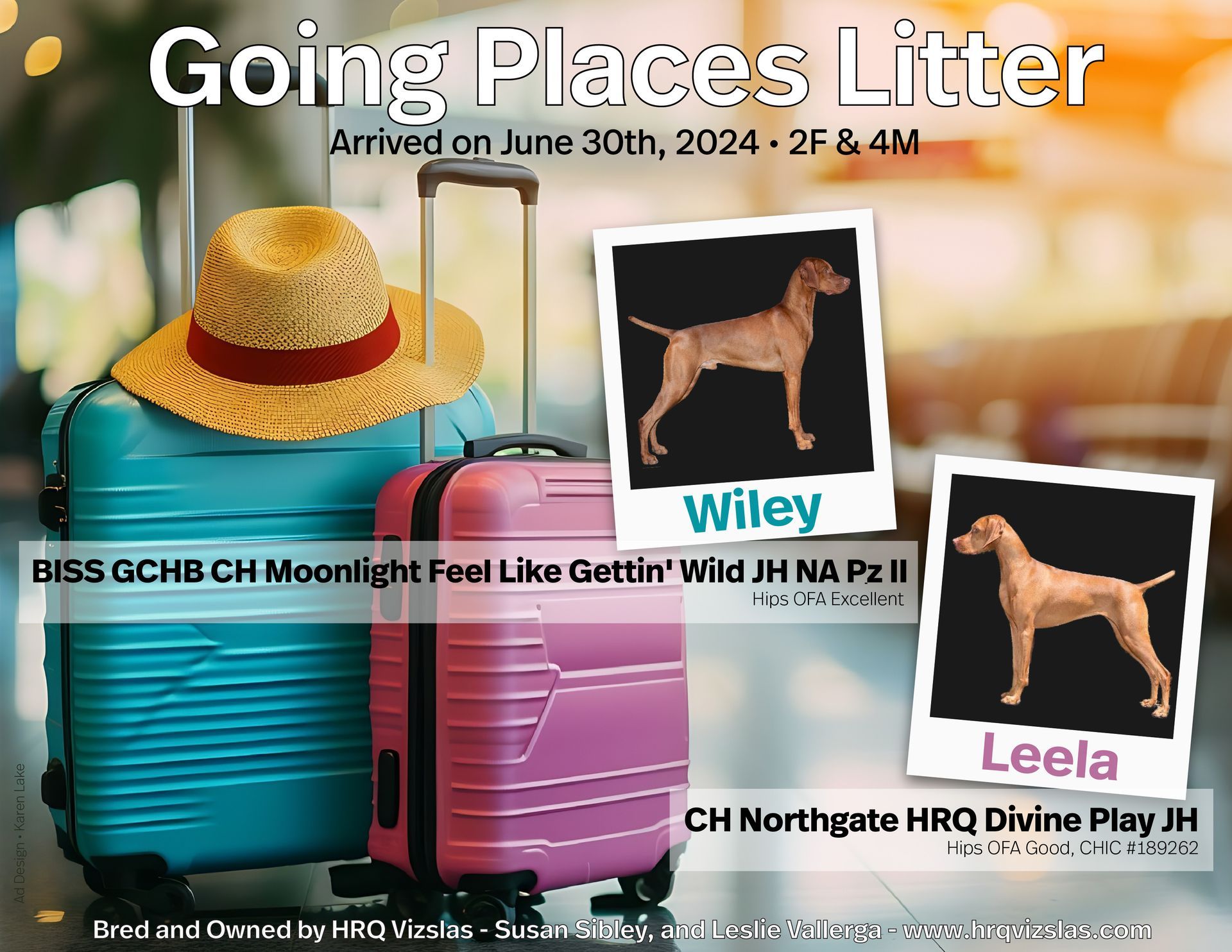 Going places litter arrived on june 30th 2024