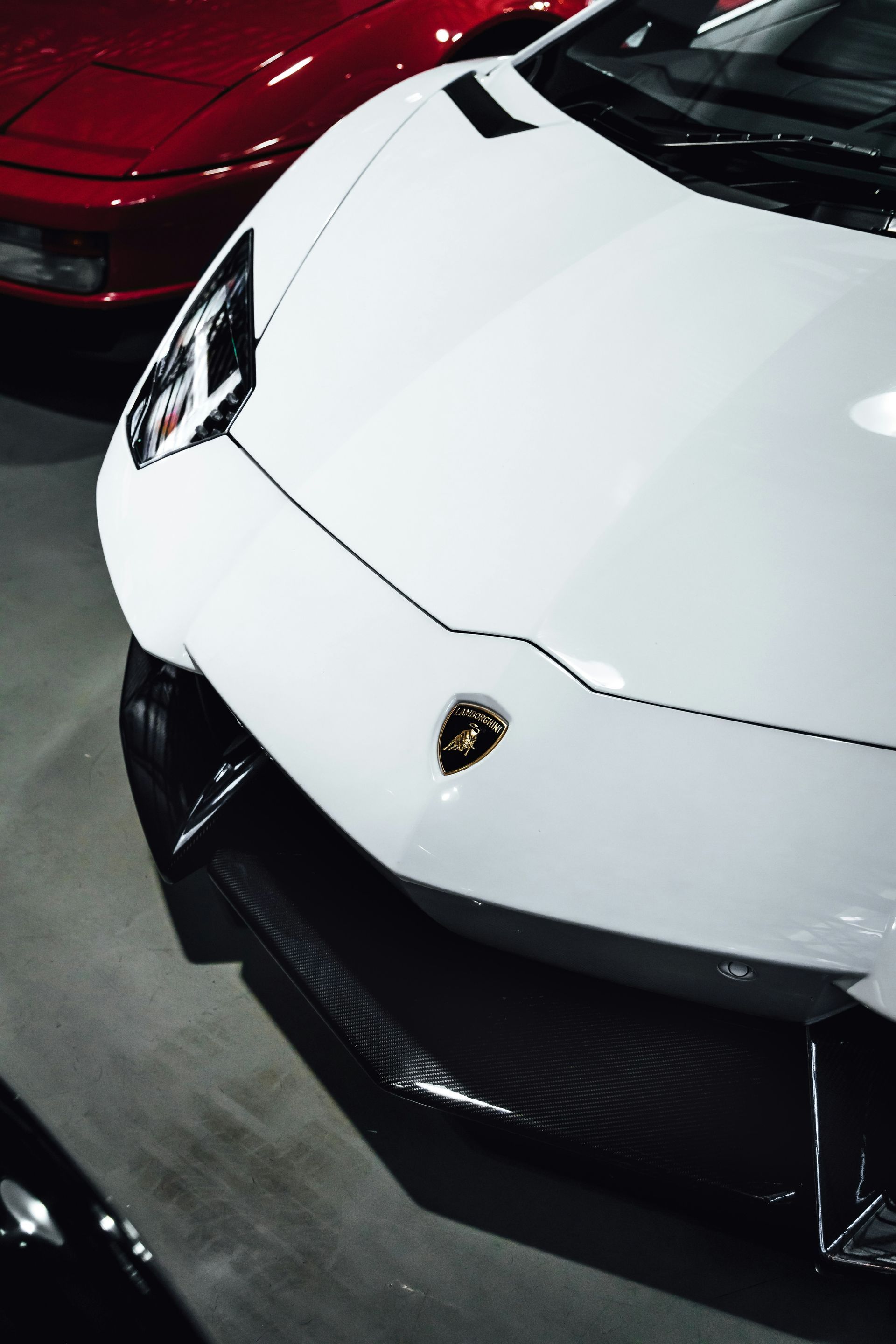 White Lamborghini sports car, with the hood dominating the frame, in a showroom.