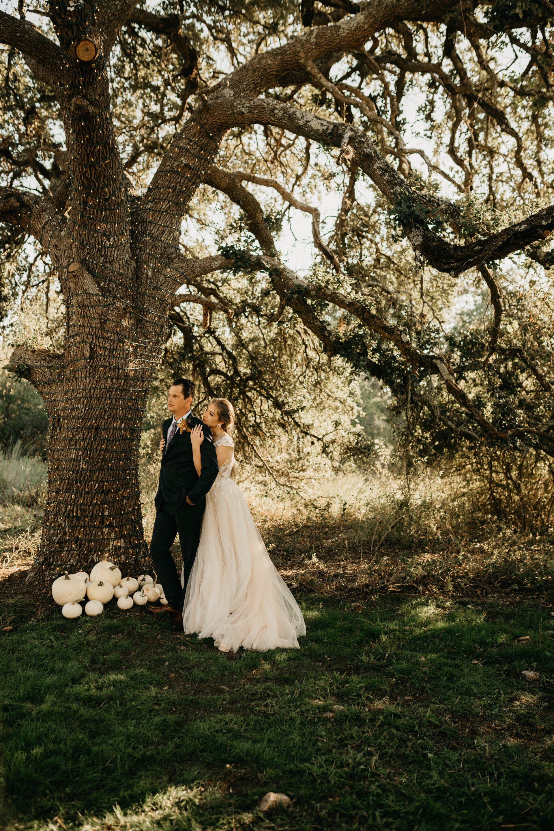 a bride and groom are standing under a tree