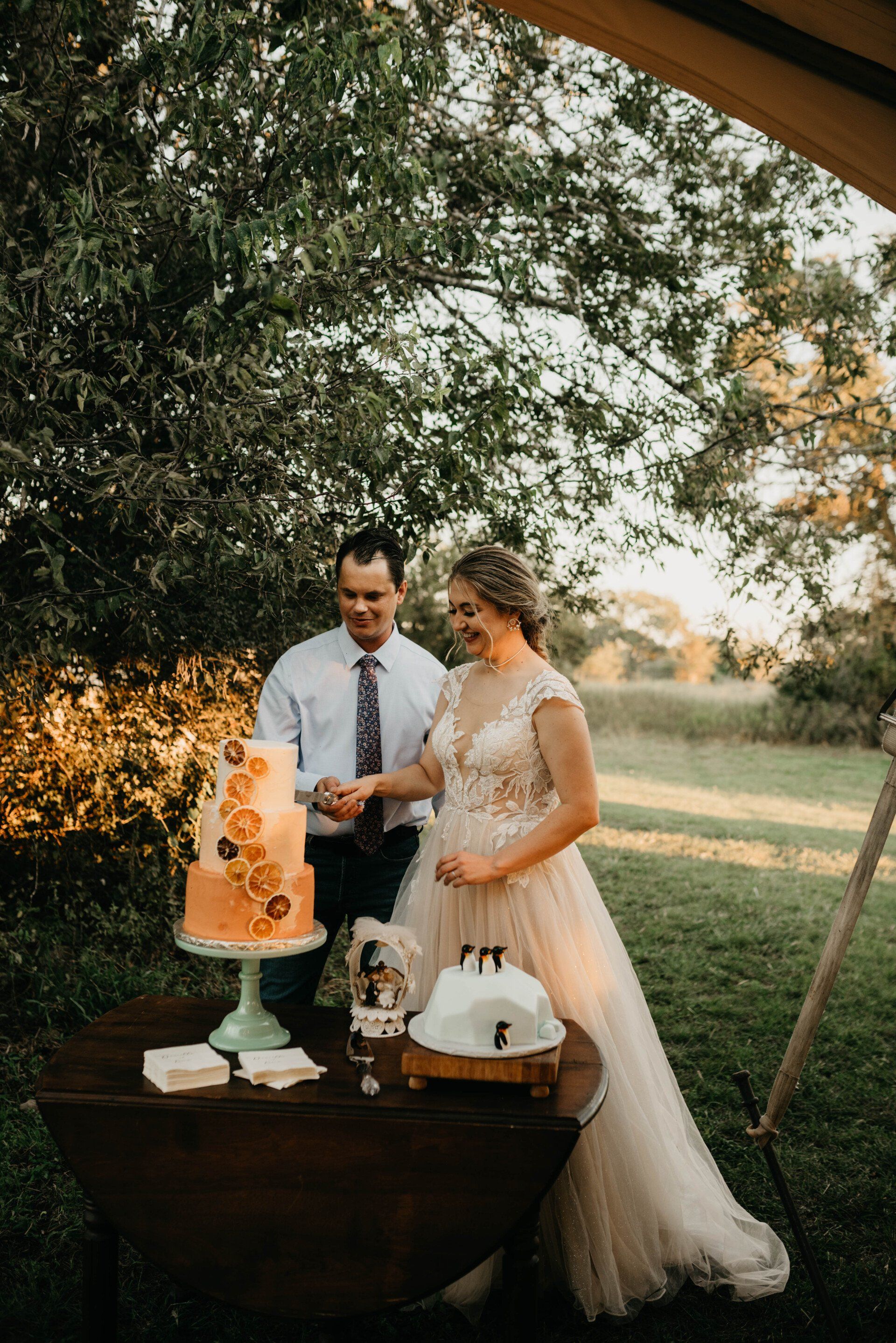 a bride and groom cutting their wedding cake outside