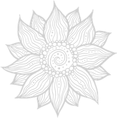 a black and white drawing of a sunflower with a spiral in the center .