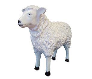 Schaap onbeschilderd