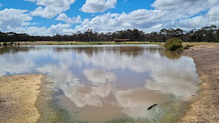 this is a picture of and Old Distillery Dam, in Huntly north very peaceful place