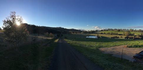 Pryor's Paddock is the  place to go if you want to get local olive oil