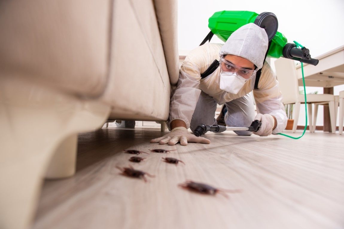 Person in protective suit spraying insecticide near cockroaches.