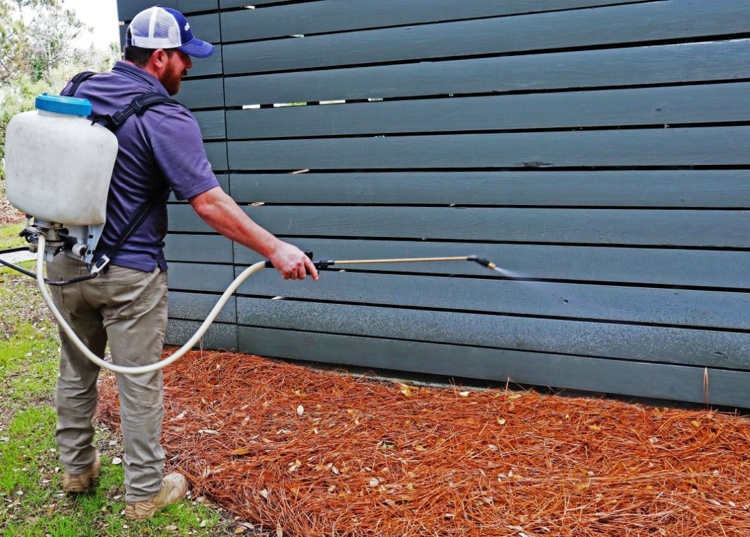 Man sprays a fence with a backpack sprayer; the fence is painted blue and bordered by mulch.