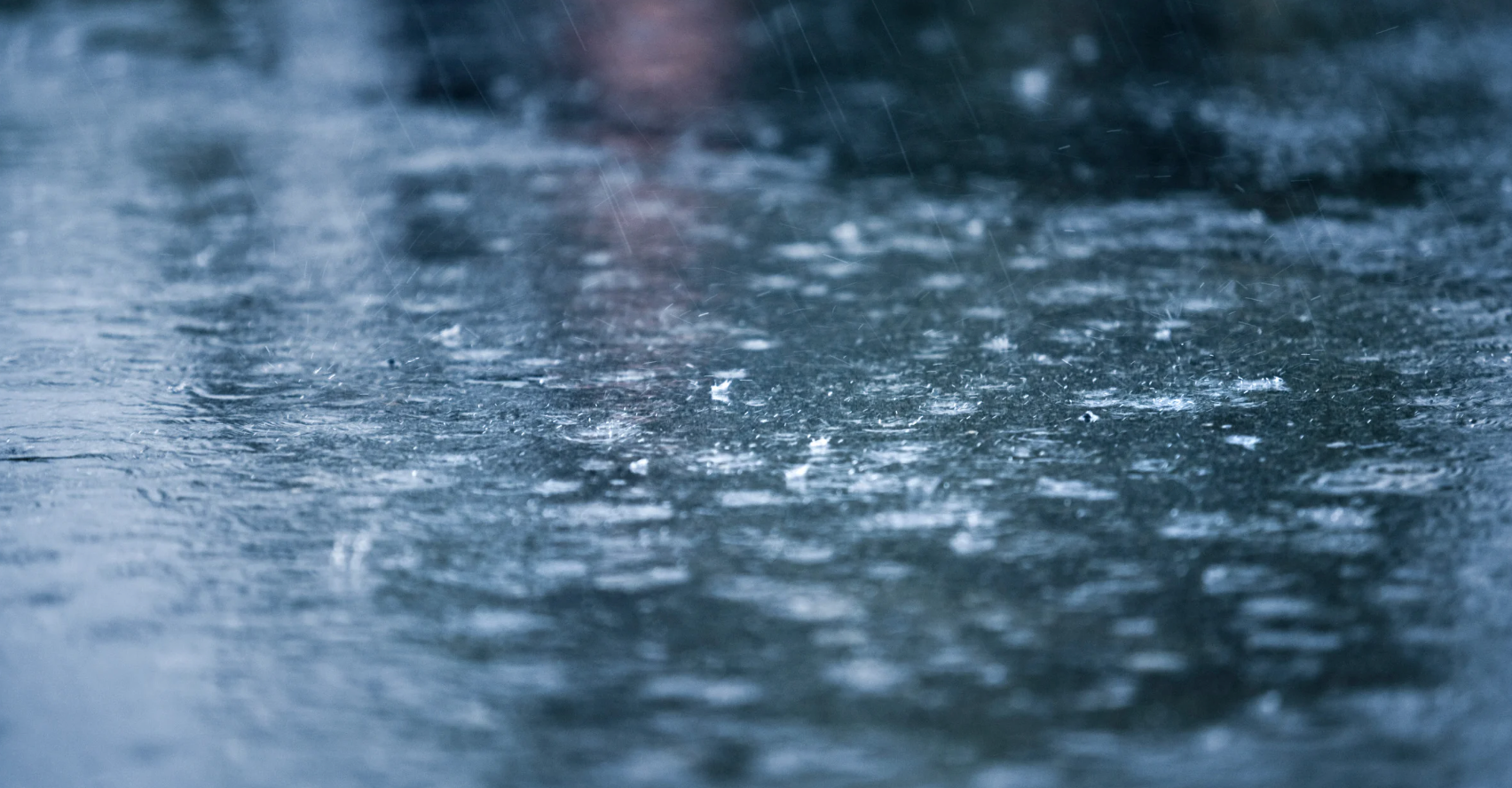Moving Day in the Rain? Here’s How CT Moving and Storage Has You Covered