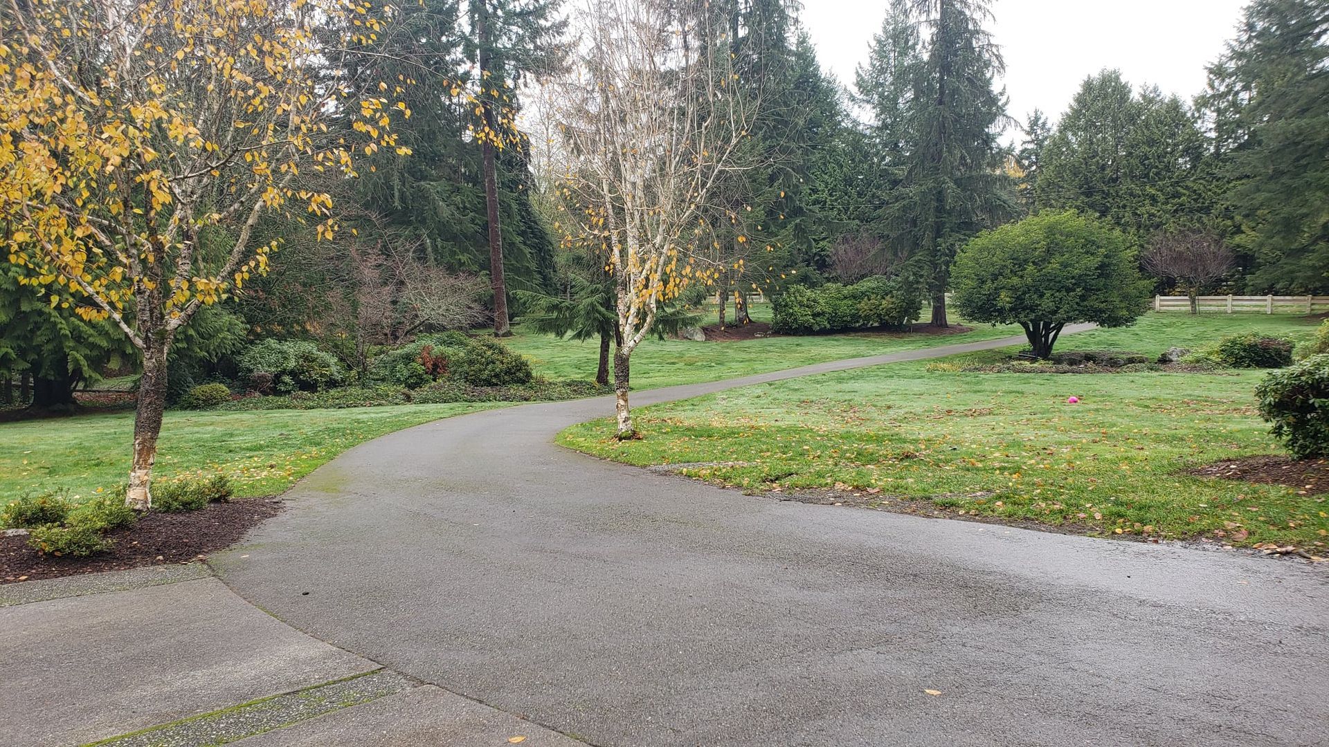 Curving asphalt path through a green grassy area with trees, overcast sky.