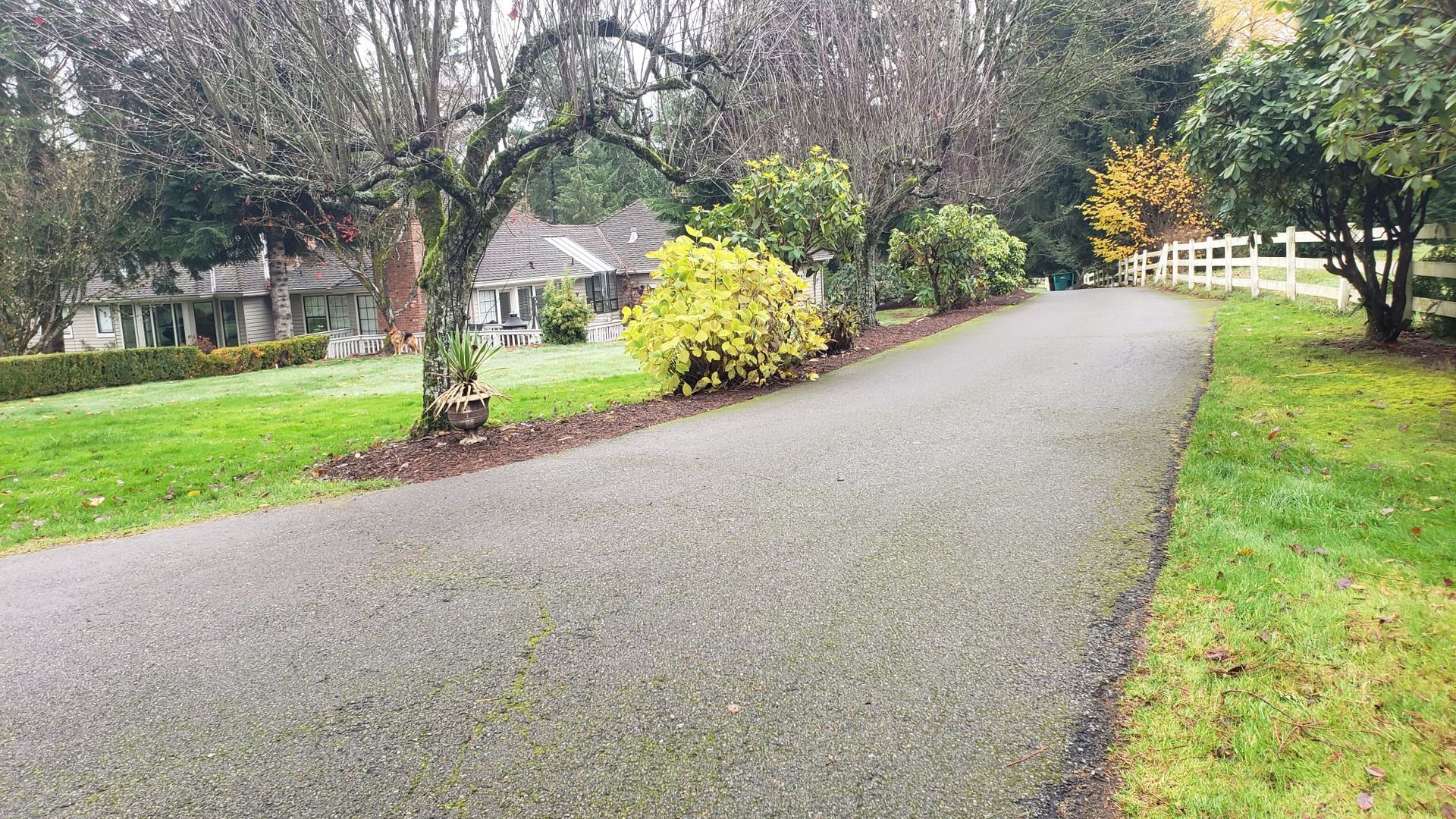A long asphalt driveway leads to a house; grass and trees line the sides.