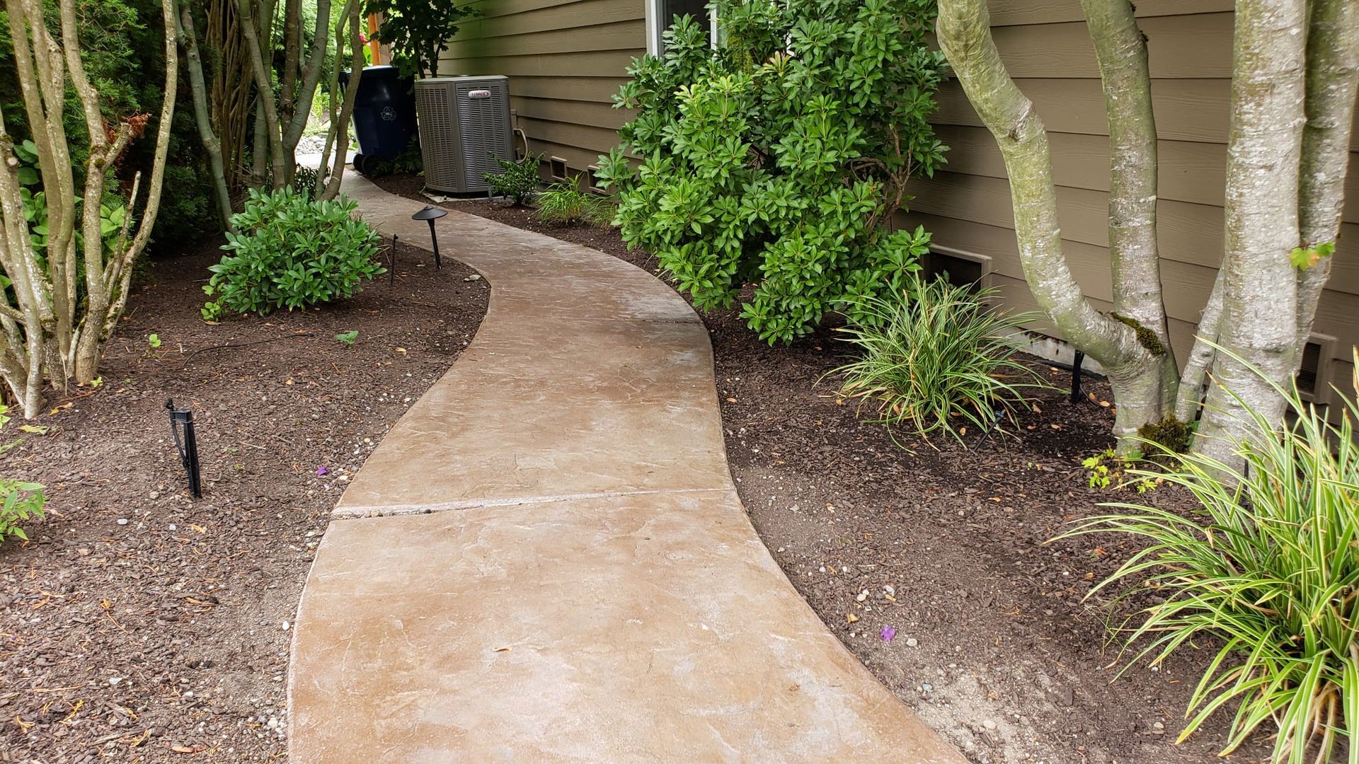 Curving concrete walkway lined with brown mulch and green shrubs leading to a house.