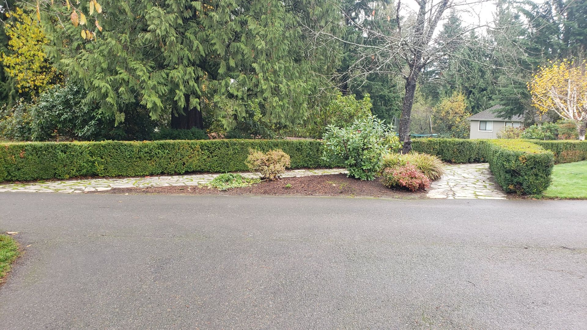 Road with a hedge border and trees in the background on an overcast day.