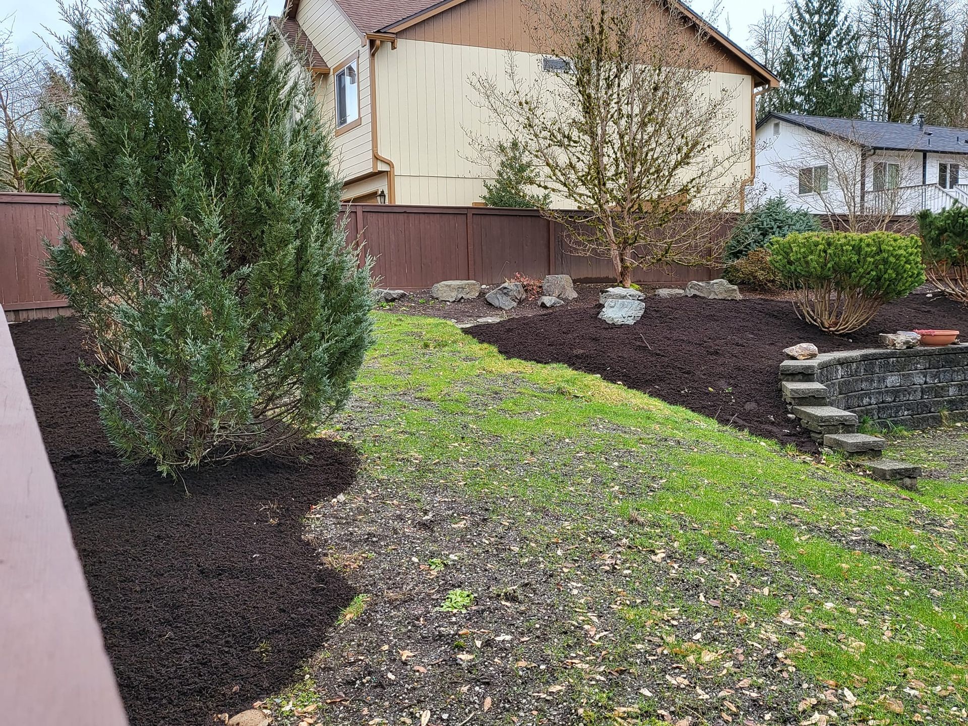 Backyard with dark mulch beds, green grass, shrubs, brown fence, and houses in the background.