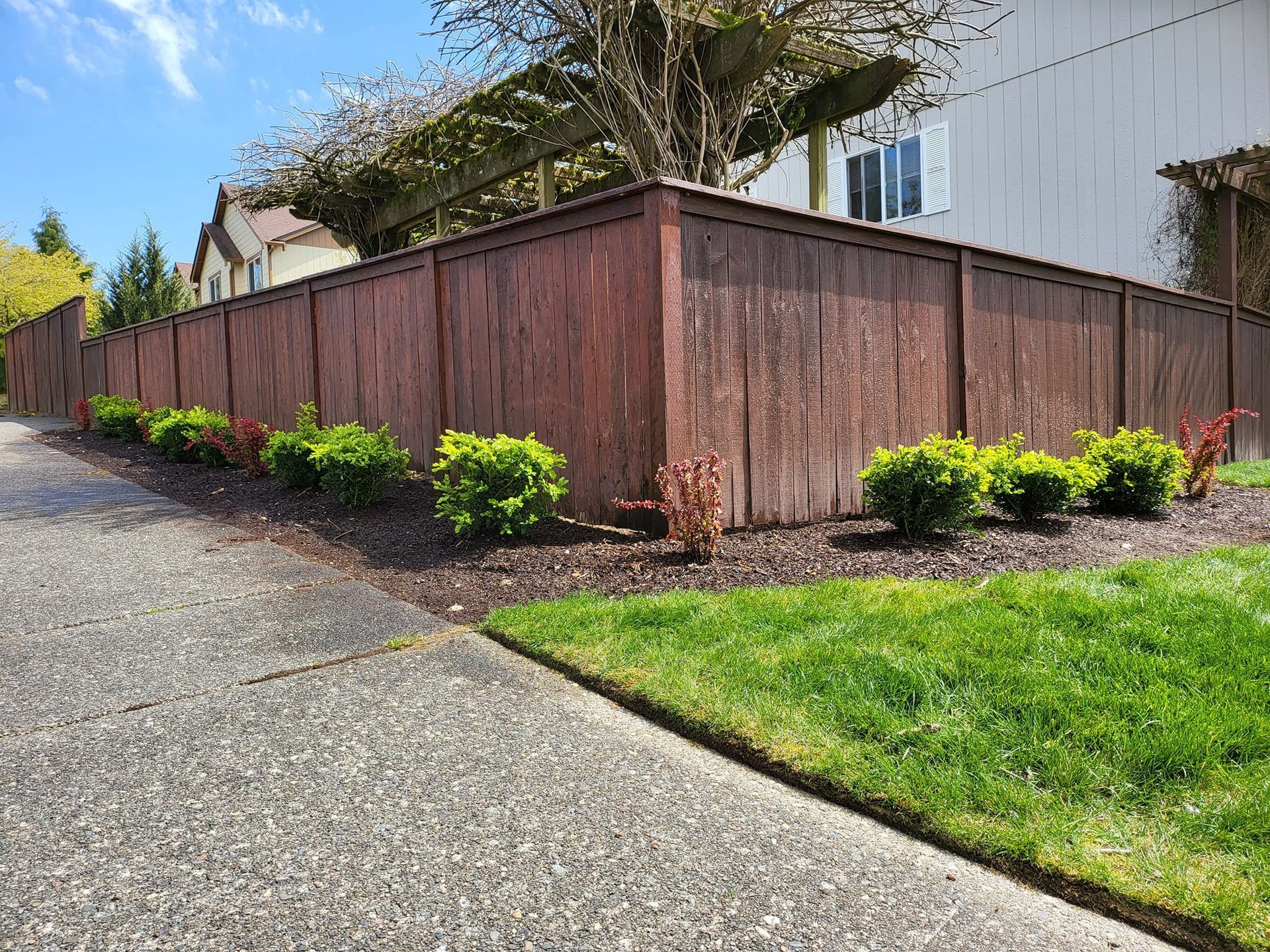 Brown wooden fence with green bushes along a sidewalk and grass on a sunny day.