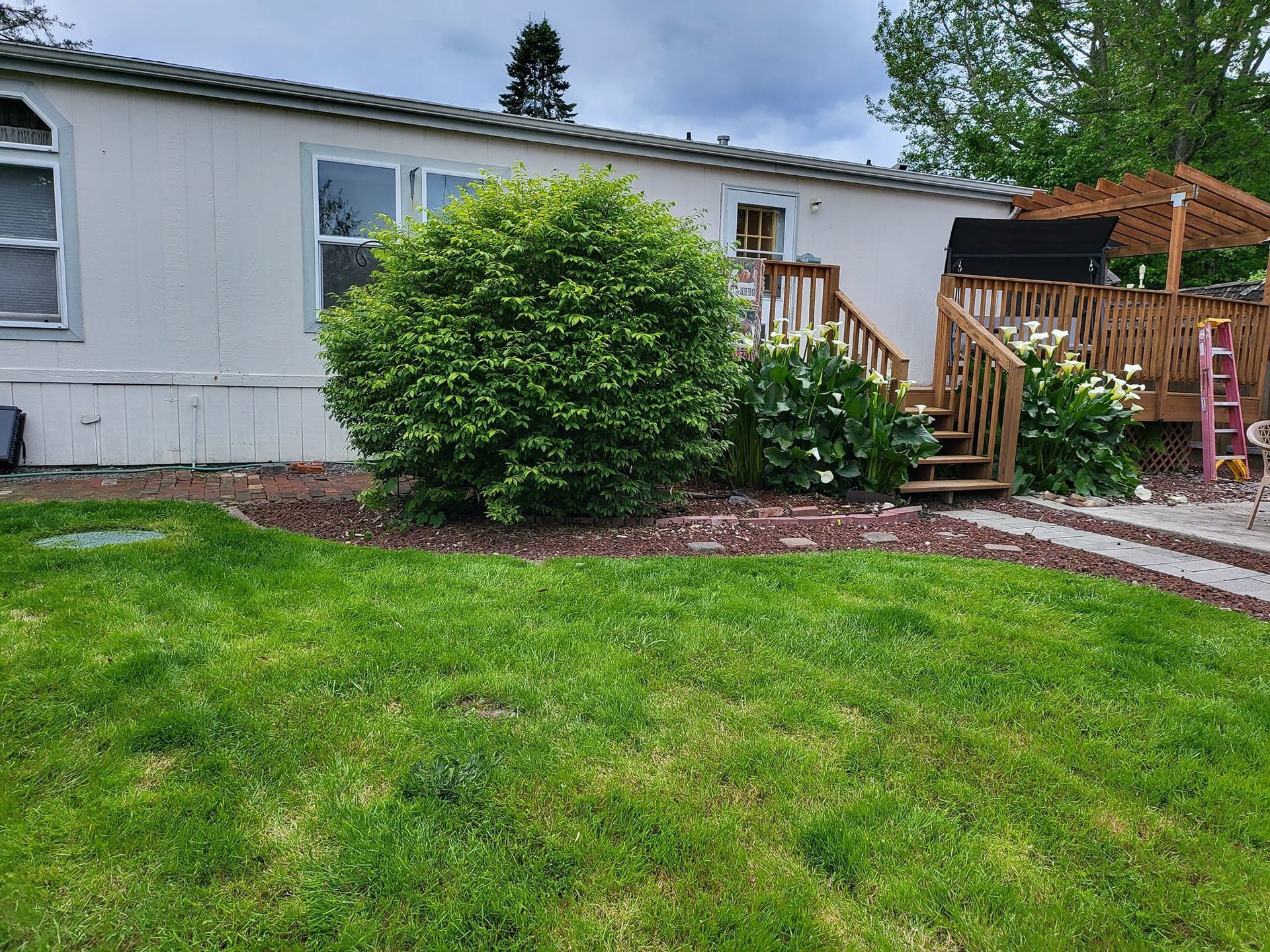 Mobile home exterior with deck and lush landscaping, including a large green bush and white calla lilies.