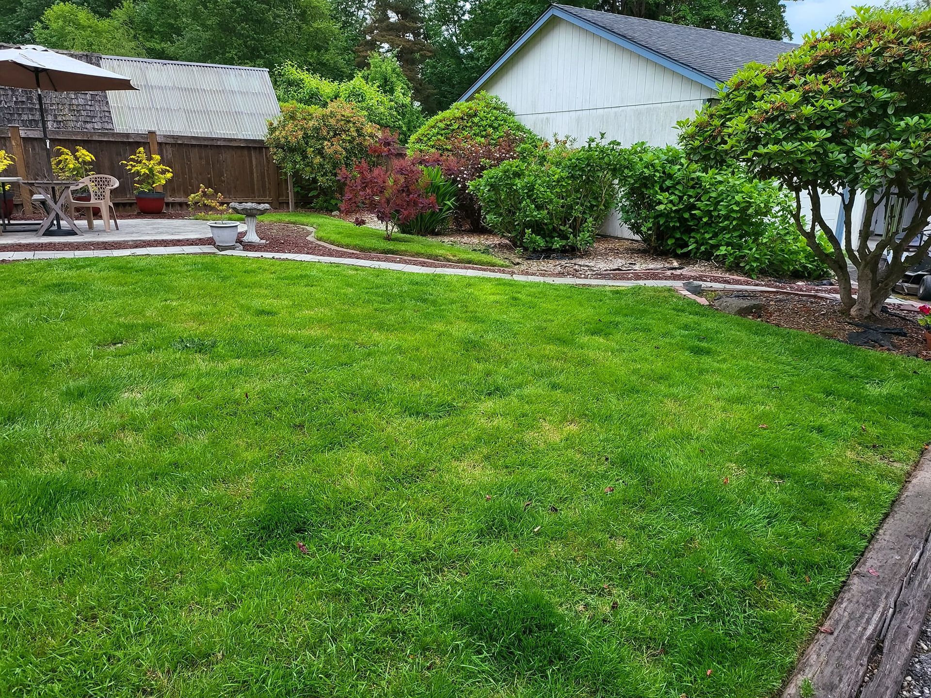 Lush green lawn with garden beds, a white building, and trees on a sunny day.