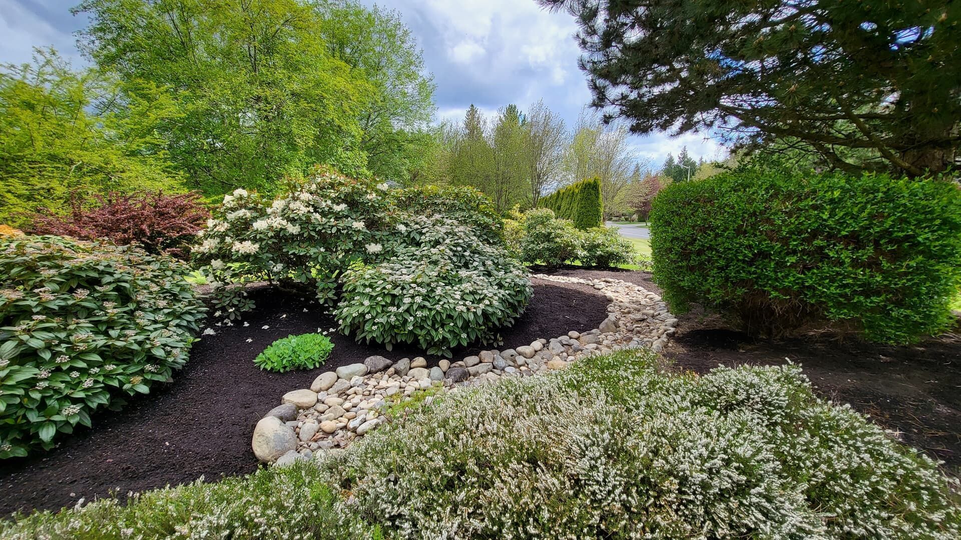 A lush garden bed with various green plants and a rock-lined path, under a cloudy sky.