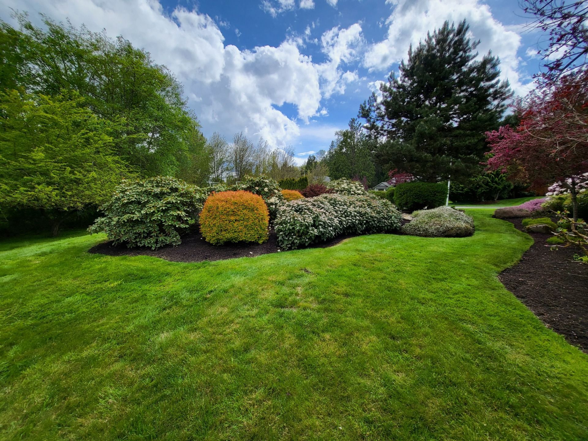 Lush green lawn leads to a garden bed with colorful shrubs and trees under a bright blue sky with puffy white clouds.