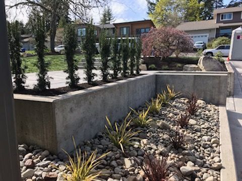 Concrete planter with tall green trees, and rocky ground with colorful plants. Houses in the background.