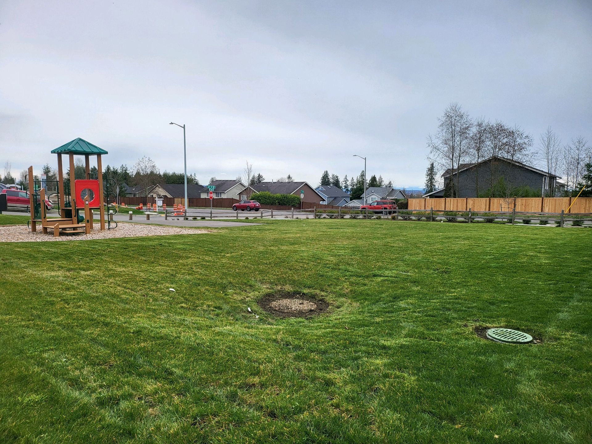 Playground in a grassy park, overcast sky, houses in the background.