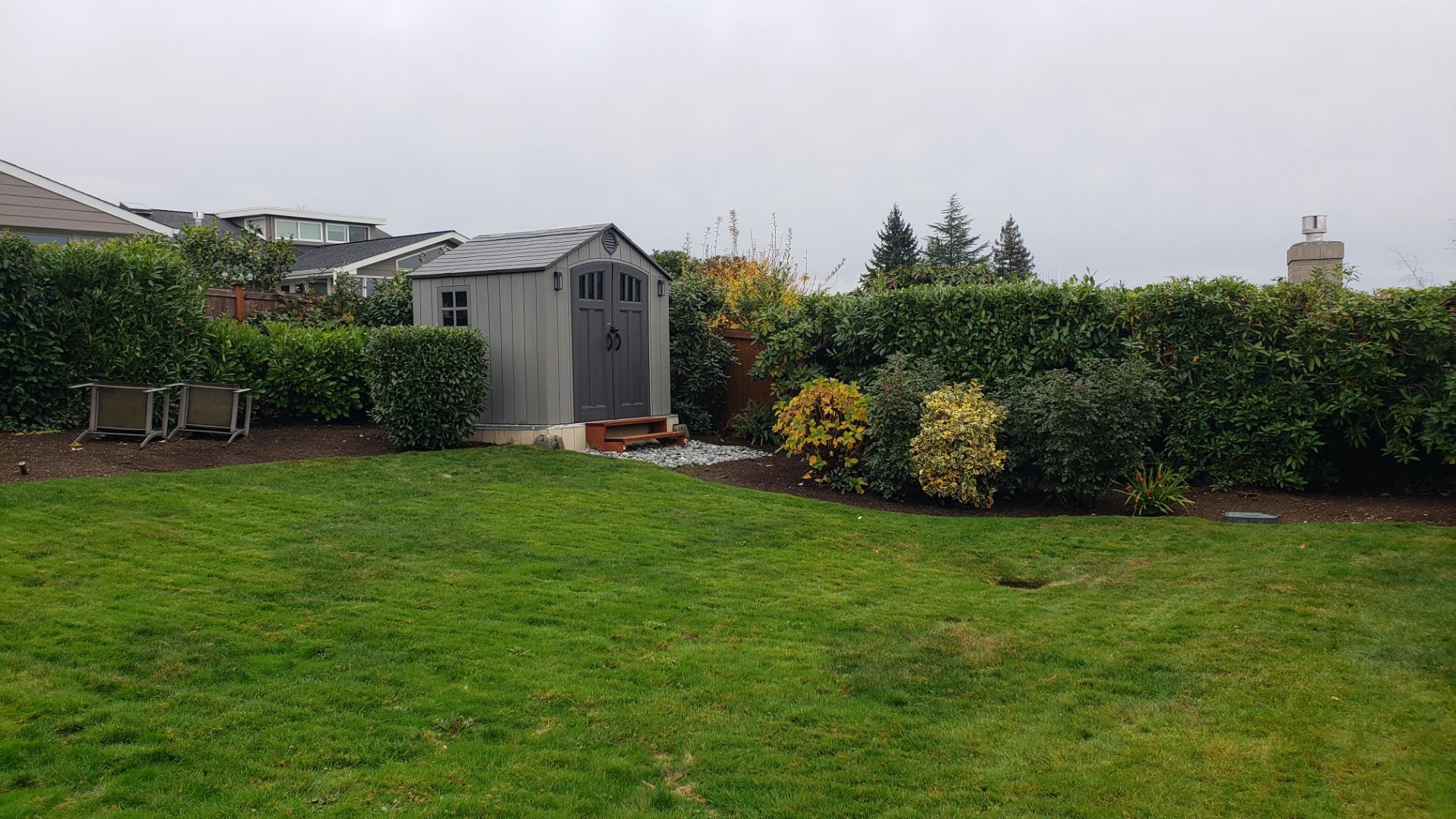 Backyard with a gray shed, green lawn, hedges, and overcast sky.