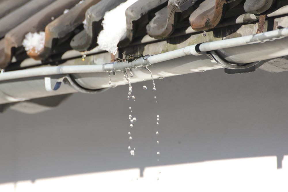 Water is dripping from a gutter on a roof