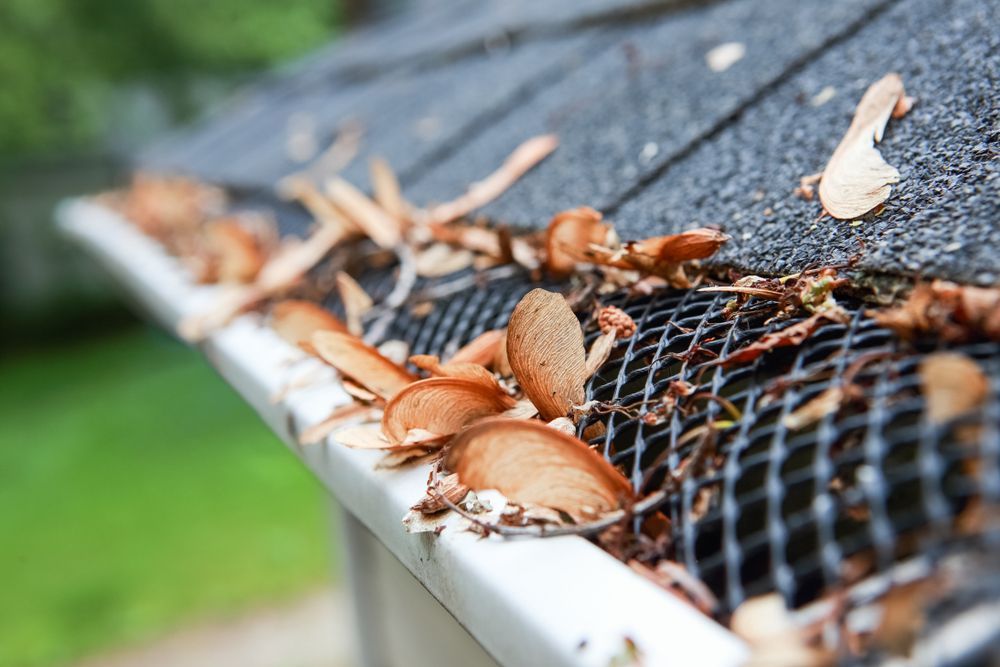 A close up of a gutter filled with leaves on a roof.