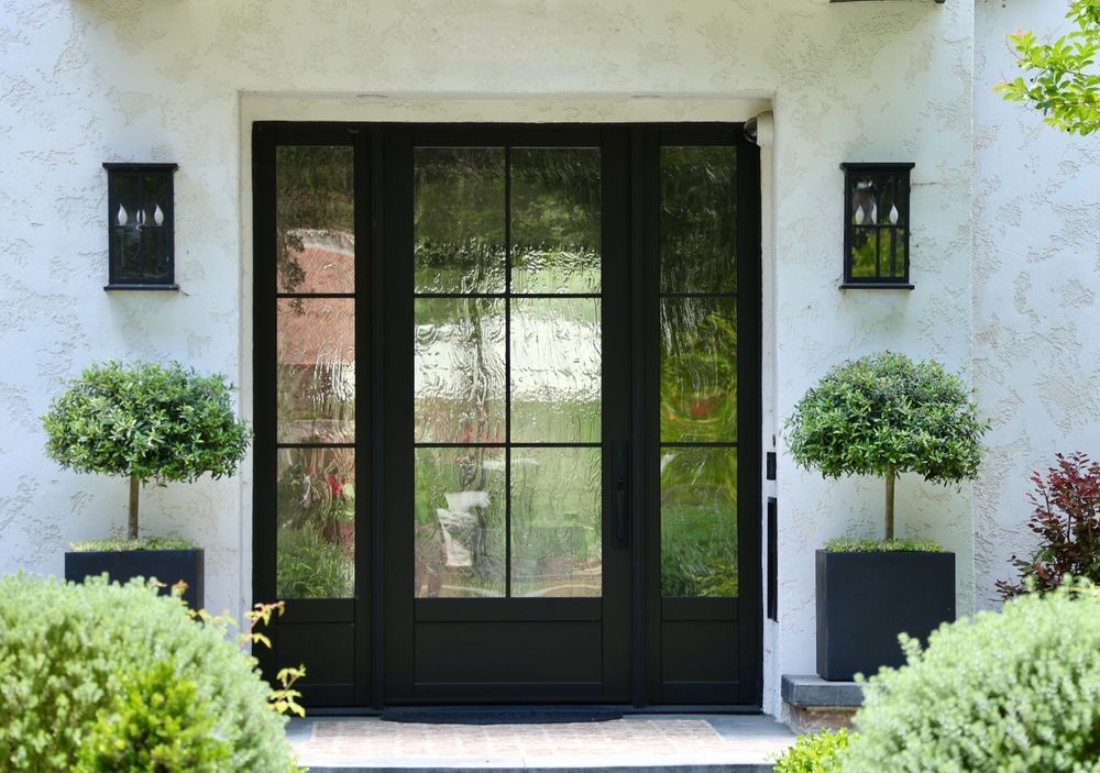 A glass front door with black trim and plants surrounding it.