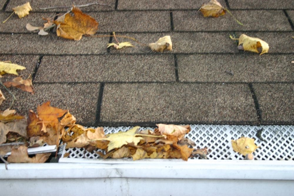 A gutter with leaves coming out of it on a roof.