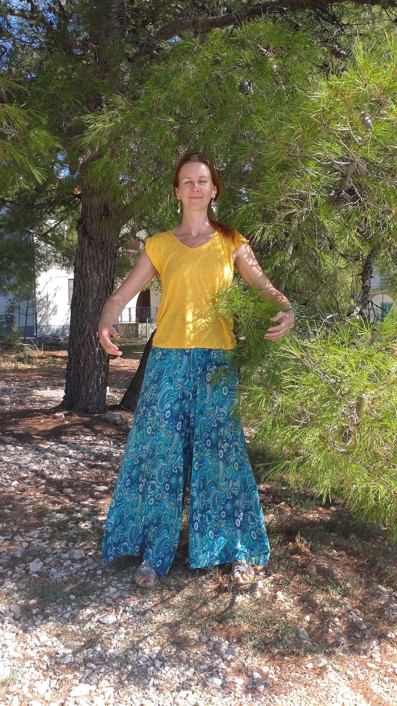 big tree practice - ZYQ in Germany