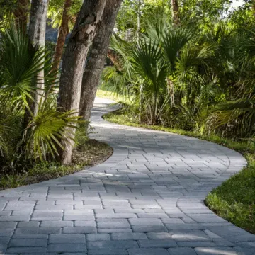 a mega cambridge brick walkway going through a lush green forest .