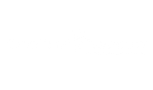 Destiny Rescue Rescuing Children Logo - Event Partner