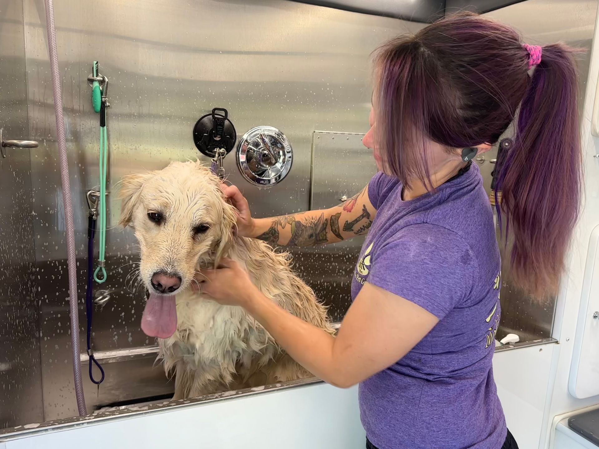 Book Now Mobile Pet Groomers Near Me